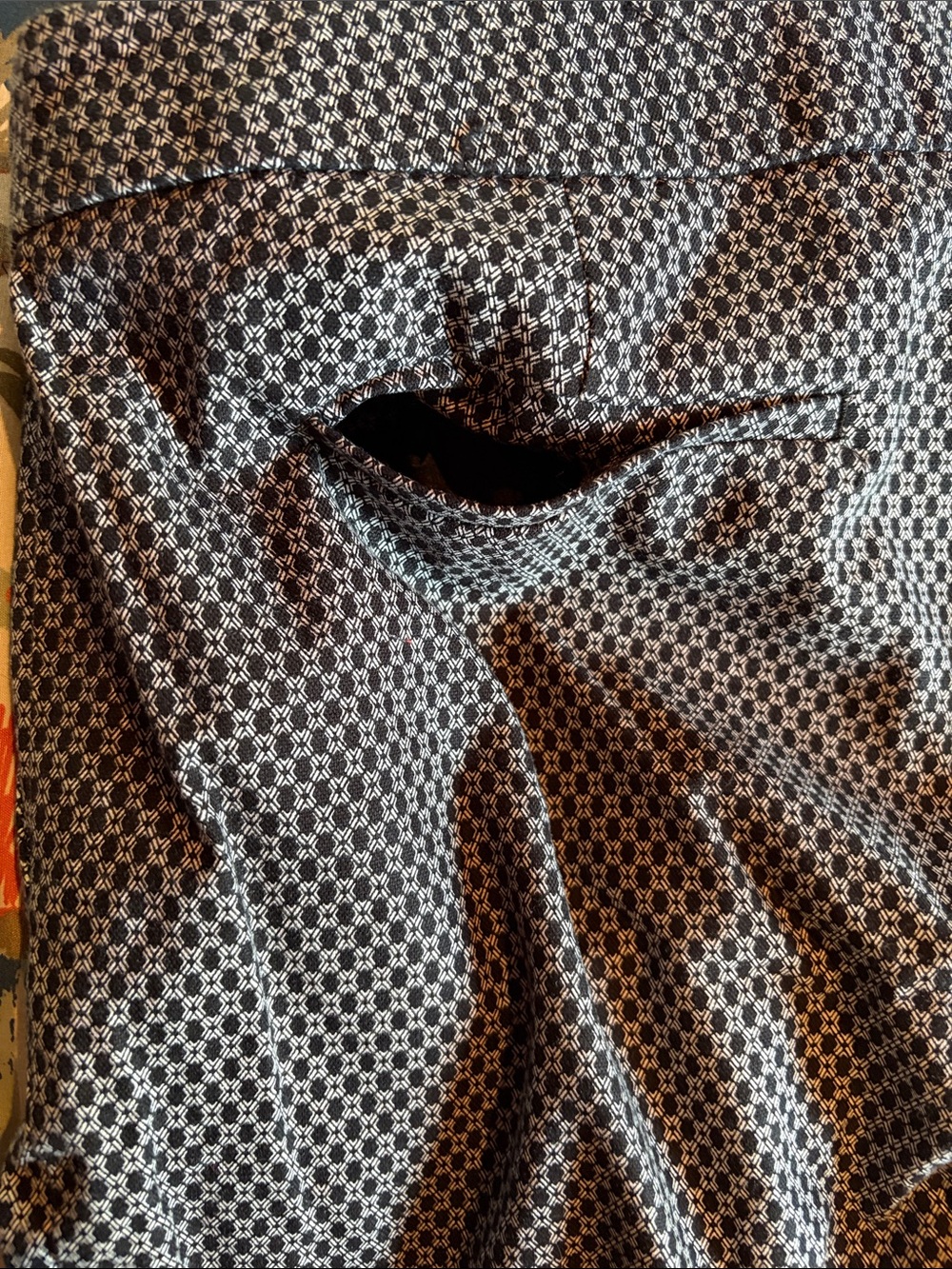 Dalia size 12 Patterned Ankle Pants w/Pockets - Picture 10 of 11